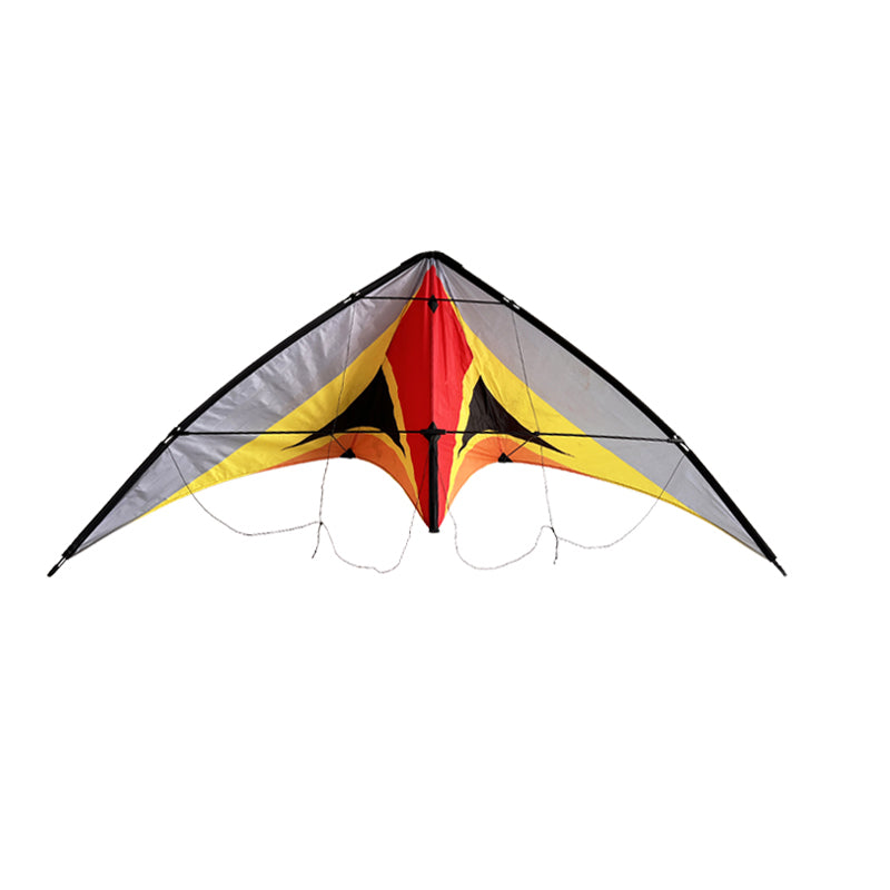 Double Line Triangular Kite Professional Level Sports Stunt Kite Beach Park Performance Kite Easy To Fly Suitable For Adults