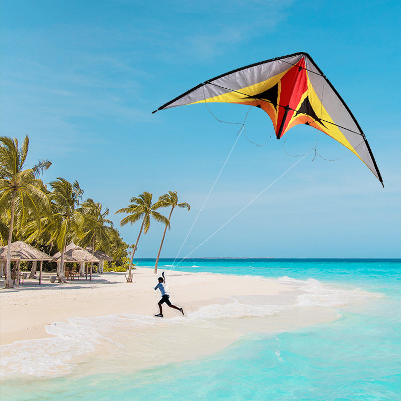 Double Line Triangular Kite Professional Level Sports Stunt Kite Beach Park Performance Kite Easy To Fly Suitable For Adults